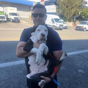 Meet your Posher, Michael